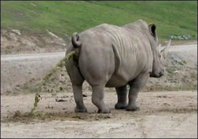 Que vous injectera le m&eacute;decin si ces gaz intempestifs sont &agrave; l'origine de douleurs importantes ?