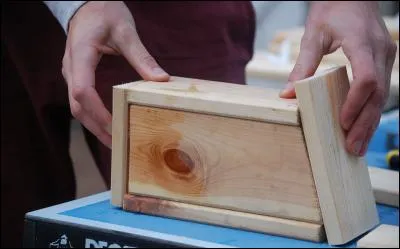 Comment peux-tu participer à ton échelle à la survie des oiseaux en ville ?