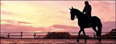 Jappeloup est champion de :