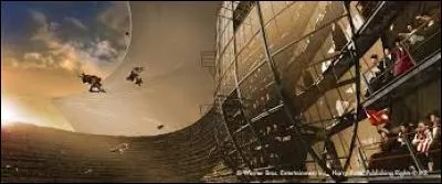 De quel pays l'arbitre est-il originaire ?