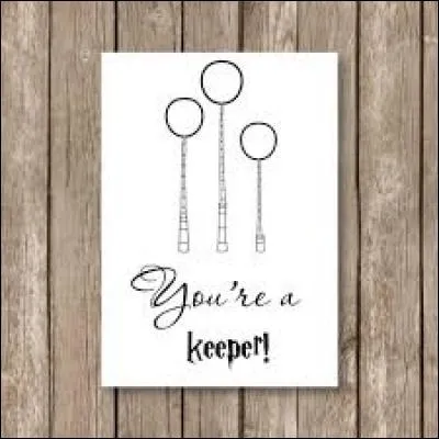 Qui est le gardien de l'équipe ?