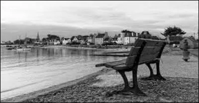 A quel chanteur doit-on les paroles suivantes : "Donner à bouffer à des pigeons idiots, leur filer des coups d'pied pour de faux..." ?