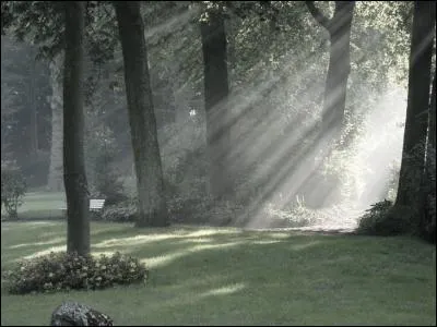 Que dire si vous avez entièrement raté ce quiz ?