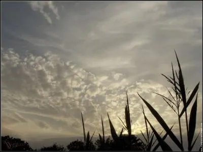 Qui chantait "Le jour s'est levé sur une étrange idée" ?