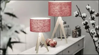 Que voyait-on sur l'image avant 1990 ?