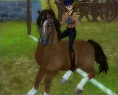 Où peut-on acheter ce cheval ?