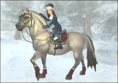 Quelle est cette race ?