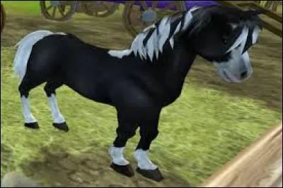 Quelle est cette race ?