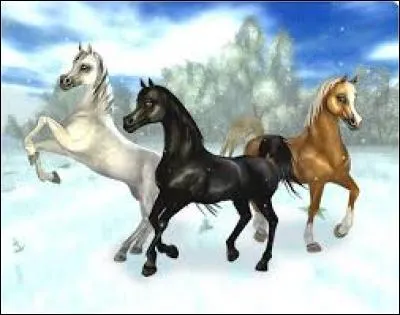 Quelle est cette race ?