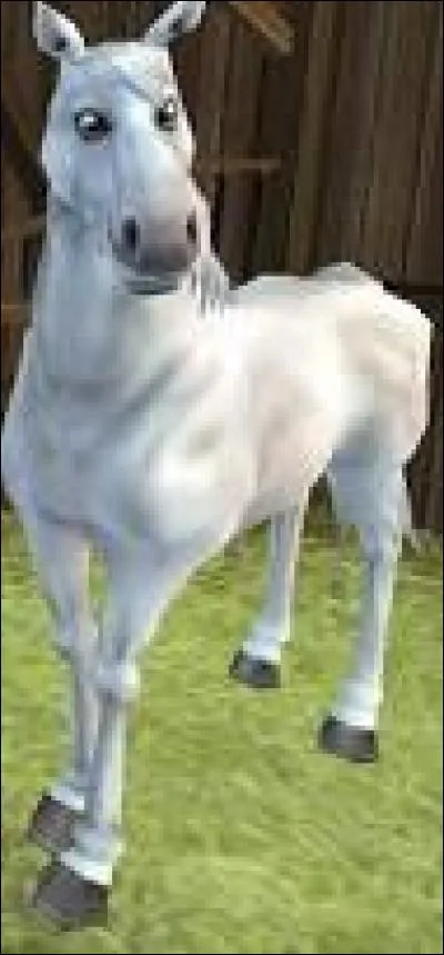 Quelle est cette race ?