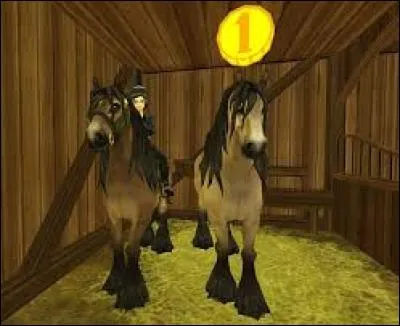 Quelle est cette race ?