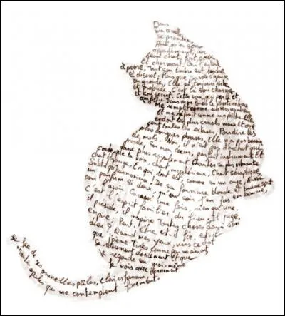 Répondre à cette question. Où regardes-tu ? Agrandir l'image pour voir la réponse !