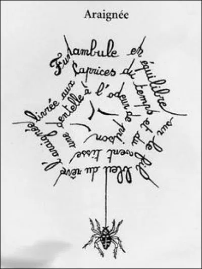 Où cette araignée est-elle en équilibre ?