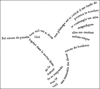 Ce bel oiseau du paradis est aussi...