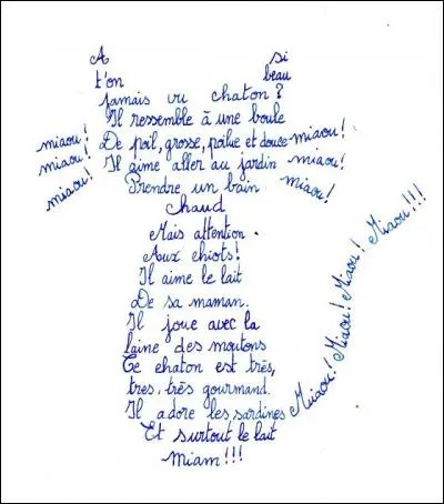 Que disent les vibrisses de ce chaton ?