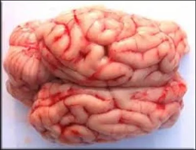 À quoi cela correspond ?