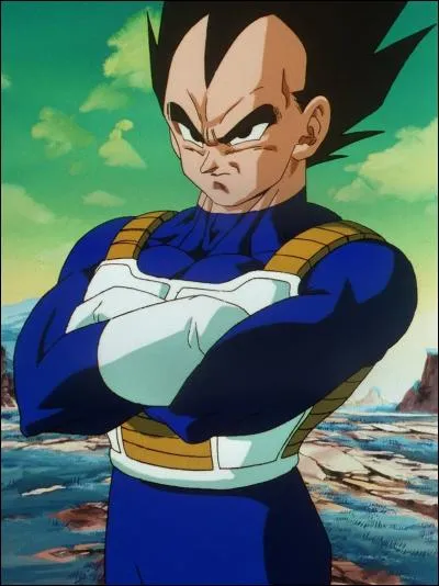 Qui est ce personnage de Dragon Ball Z ?