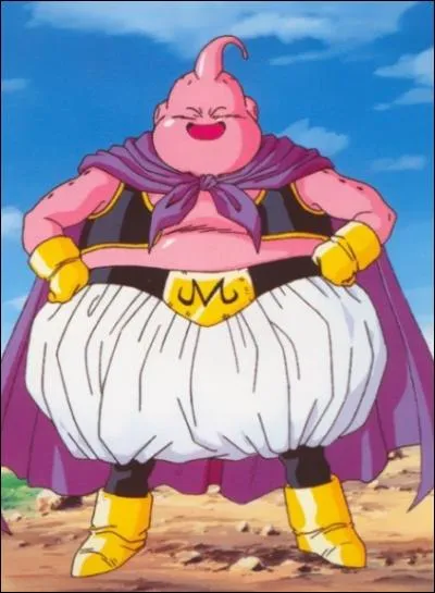 Qui est ce personnage de Dragon Ball Z ?