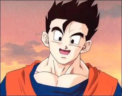 Qui est ce personnage de Dragon Ball Z ?