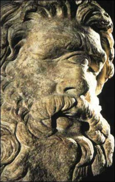 Le cyclope est l'une des créatures les plus connues de la mythologie grecque. Cependant ils semble avoir été inspiré par une malformation congénitale, la cyclopie. Quel est le nom scientifique de cette maladie ?