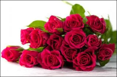 Comment s'appelle cette jolie fleur qu'on peut offrir à sa maman pour son anniversaire ?