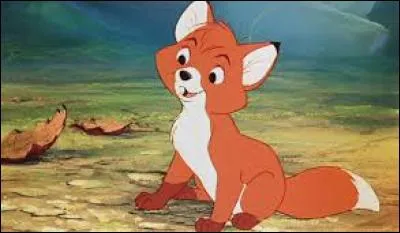 "Rox et Rouky" est un Disney. Lequel est le renard ?