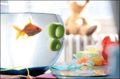 À la télévision, il y a une chaîne qui est géniale pour vous, car elle passe des dessins animés toute la journée :