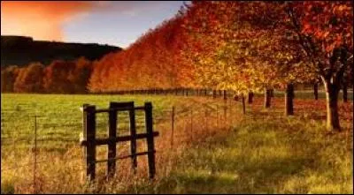 Comment appelle-t-on, en Am&eacute;rique du Nord, un redoux de quelques jours &agrave; plusieurs semaines pouvant survenir pendant la saison d'automne ?