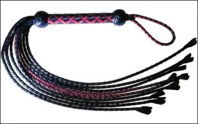 Comment s'appelle ce fouet de torture ?