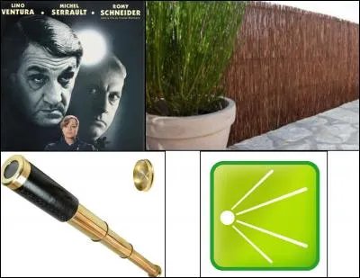 Le mot mystère est :