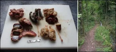 Qu'est-ce que NE signifie PAS le mot « abattis » ?