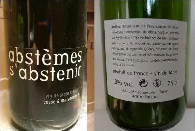 Beaucoup de religions voudraient bien que les gens deviennent abstèmes.
Que signifie ce mot ?