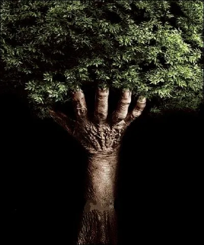 C'est le seul arbre autorisé par le maître dans ce royaume lugubre : quel est-il ?