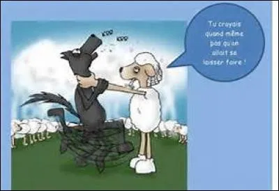 Mais qui risque de devenir pire que le loup, le jour où la rage s'allume au ventre ?