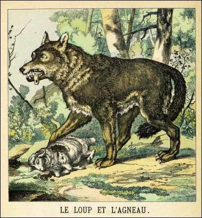 Quelle est la morale extraite de la fable "Le loup et l'agneau" écrite par Phèdre ?