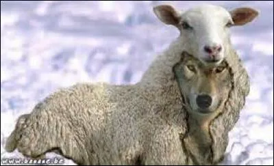 Quand il est nullement question de prendre de risques, que convient-il de faire ?