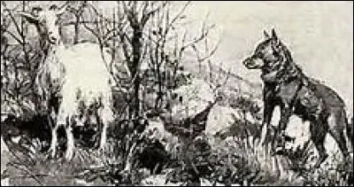 Un bruit de feuilles. Deux yeux lumineux dans l'obscurité. Pour quelle raison l'énorme animal ne se pressait-il pas ?