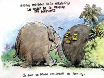 Un "analgésique" soigne les pertes de mémoire immédiate.