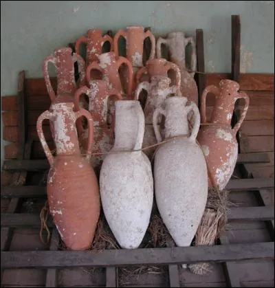 Dans l'Antiquité, les "amphores" servaient à transporter le vin, l'huile d'olive, la bière, les sauces de poissons.