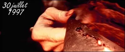 Voldemort, qui arrive à voler, se précipite sur Harry, et, avec la baguette de Lucius, dont l'acquisition de force fait de lui le propriétaire légitime, l'attaque sauvagement. Pourquoi Harry parvient-il à lui tenir tête ?