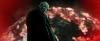 Même si Voldemort était déjà le maître avant ce coup d'état, celui-ci fait plus qu'officialiser l'ascension du Seigneur des Ténèbres. Quel avantage offre cette nouvelle situation ?