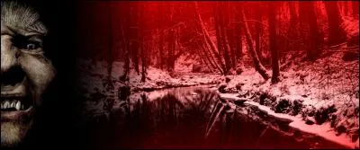 Pendant toute une année, Voldemort reste dans l'ombre, et use de ses habituels pouvoirs de séduction... L'an passé, il avait déjà convaincu les trolls de rejoindre les forces du Mal... Cette fois, il envoie Fenrir Greyback en mission pour...