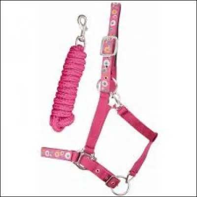 Que mettons-nous sur le cheval pour le conduire au pré ?