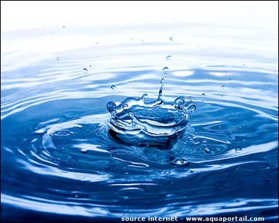 De l'eau, de l'eau ! - Qui a écrit "Une eau-forte" ?