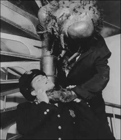 Allez-vous faire mouche ? - Quel est le titre de ce film de Edward Bernds ?