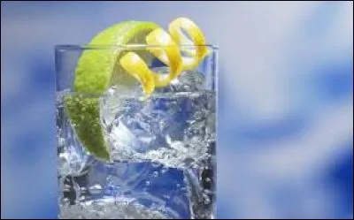 Quel est ce cocktail servi avec une tranche de citron et beaucoup de glace ?