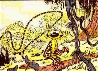 Dans quel pays imaginaire d'Amérique du Sud vit le Marsupilami ?