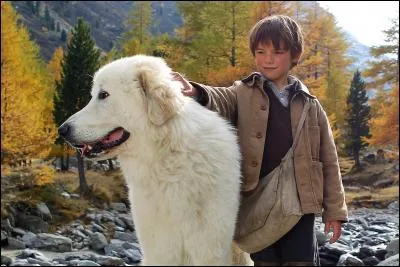 Dans ce film de Nicolas Vernier, quel est le nom de la chienne de Sébastien ?