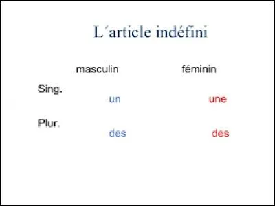 Quels sont les articles indéfinis ?