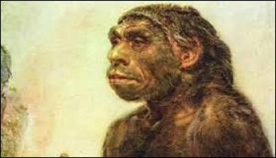 Nous commençons aujourd'hui par l'homme de Neandertal. Ce dernier vécut entre environ 250 000 et 28 000 avant notre ère sur le territoire de l'actuelle Europe et de l'Asie Occidentale. Découvert pour la 1re fois en 1830, il doit son nom à celui d'une vallée qui signifie "La vallée de l'homme nouveau". Mais dans quel pays se situe-t-elle ?